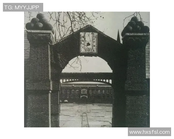 上海排球队的崛起之路：从默默无闻到世锦赛的辉煌历程